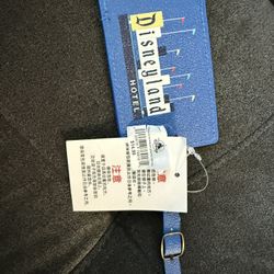 Disneyland Luggage Tag