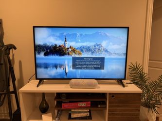 48” LG Smart TV w/ Remote