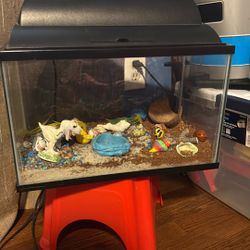 Fish/reptile Or Hermit Crab 5 Gallon Tank $30