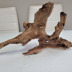 Driftwood