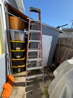 8ft werner ladder