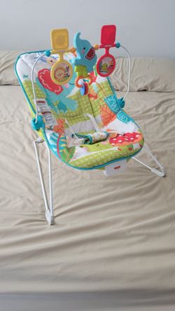 Fisher-Price Animal Kingdom Baby Bouncer
