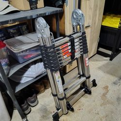 Vevor 16' Stainless Steel Telescoping Ladder