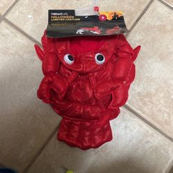 Halloween Costume For Pets