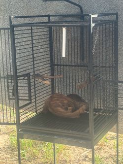 Bird cage