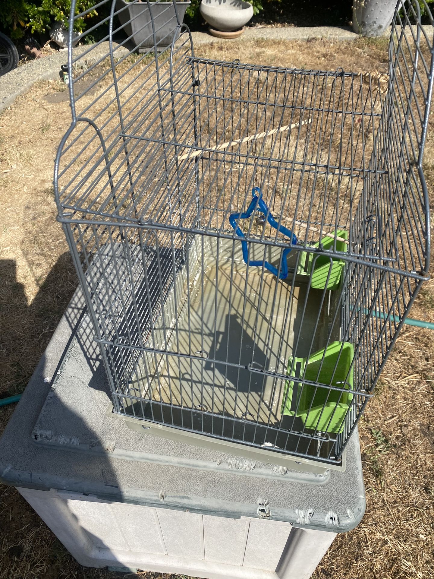Birds Cage