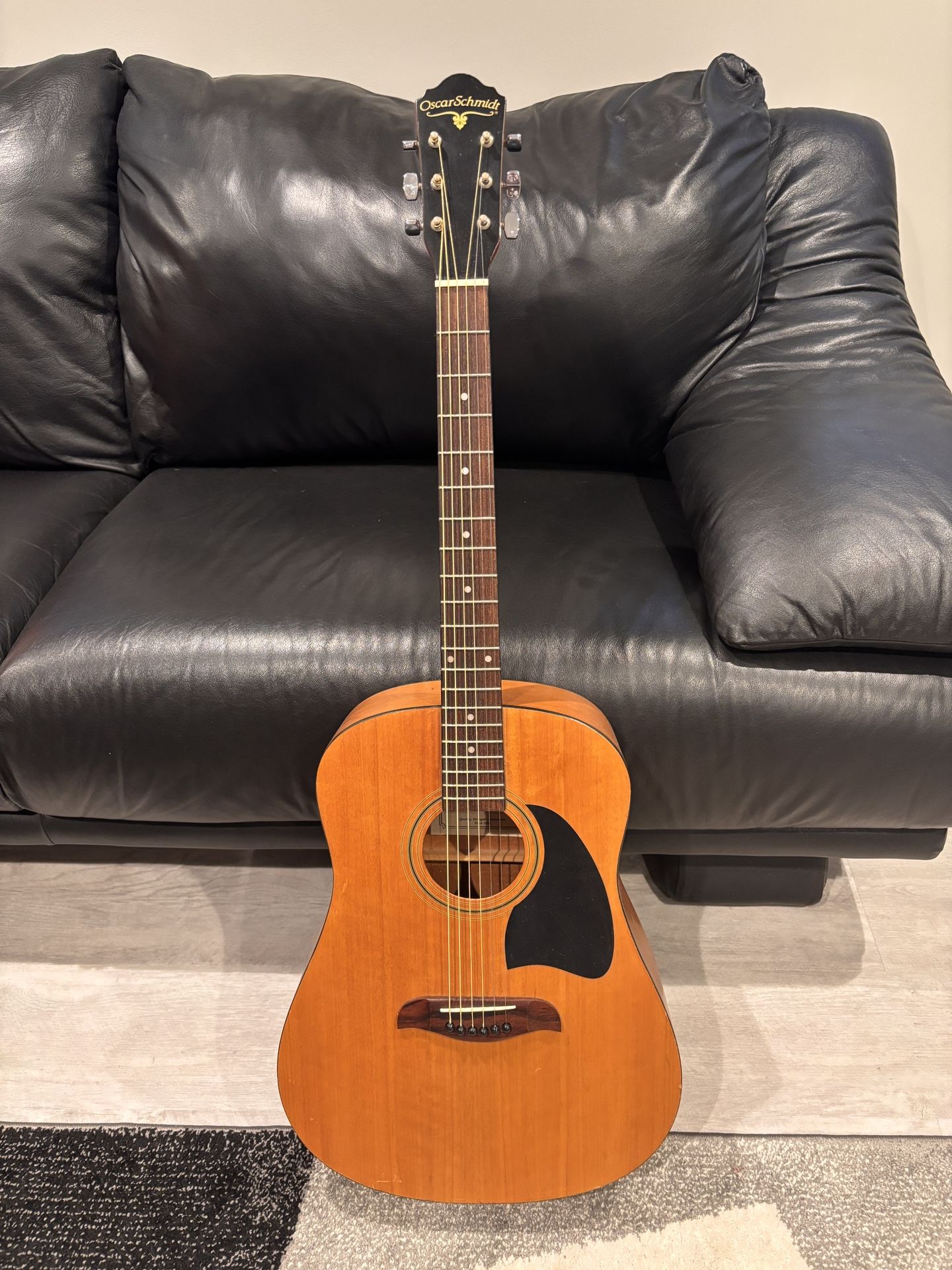 Acoustic Guitar