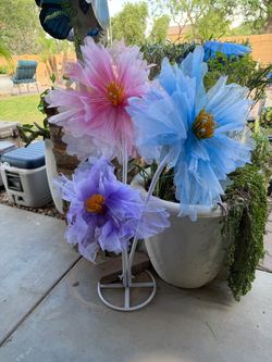 Flowers