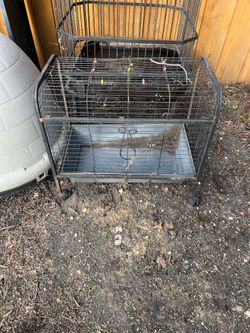 Cage