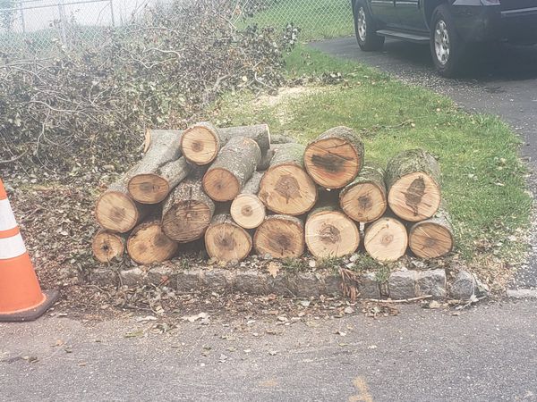 Free firewood for Sale in Parsippany, NJ - OfferUp