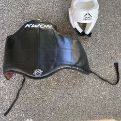 Martial arts protective gear