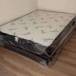 Queen Mattress And Box Springs
