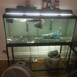 75 Gallons Full Set Up $200