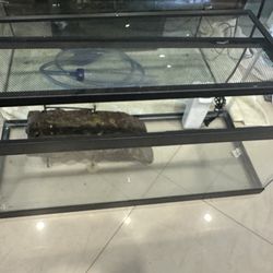 20  gallon turtle terranium with light!