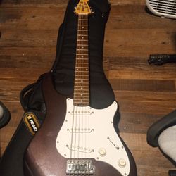 Mint condition Peavey raptor plus and Peavey gig bag like new 75 bucks cash