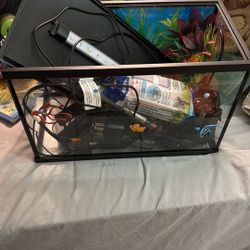 Fish Tank