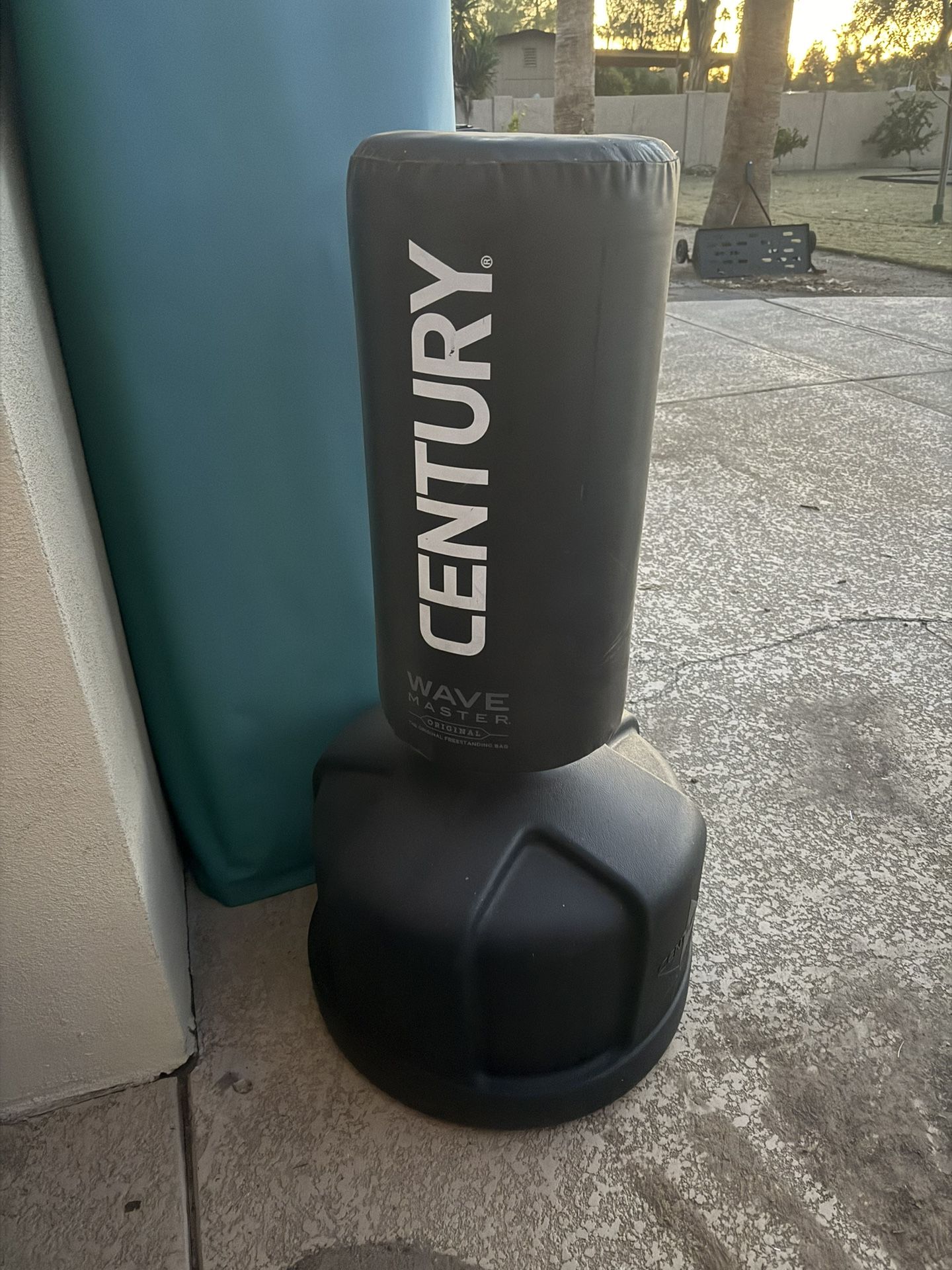 Century Punching Bag