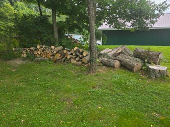 Logs