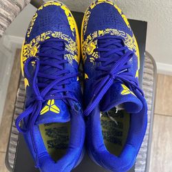 Champs store kobe shoes