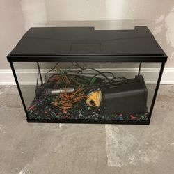 Glow-N-Dark Fish Tank