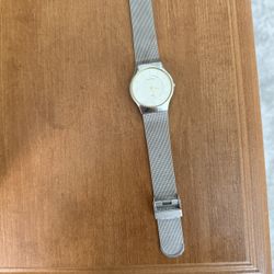Skagen Mesh Watch