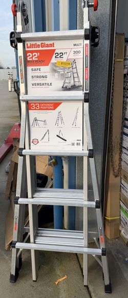 22ft Ladder 