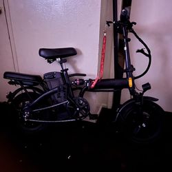 Electric bike