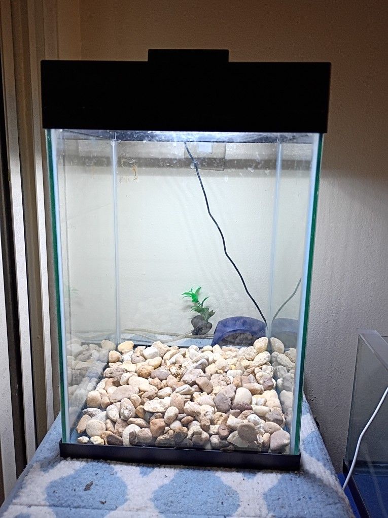 Fish Tank