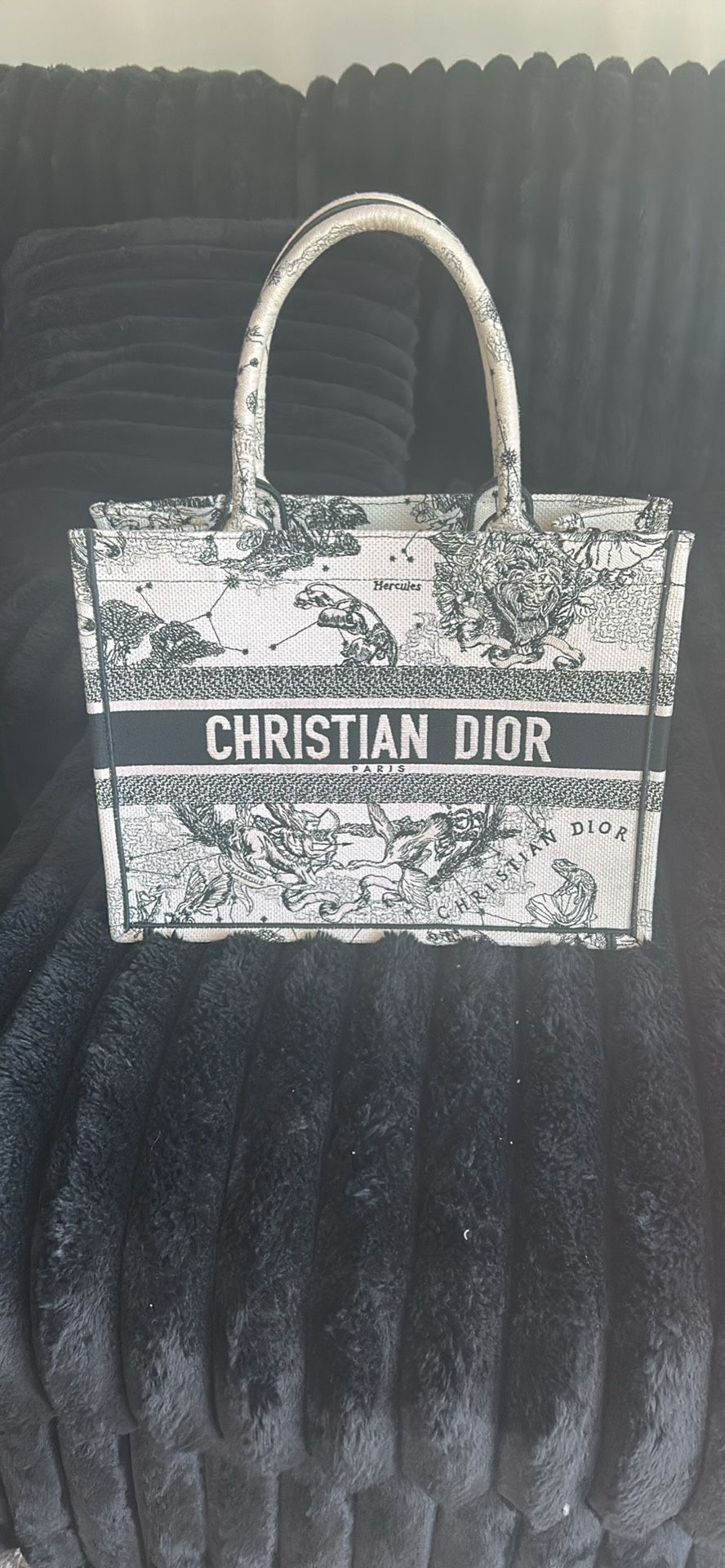 Dior Tote Bag Large 