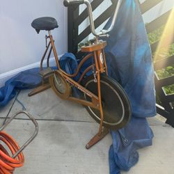 Original Schwinn Exercise Bike