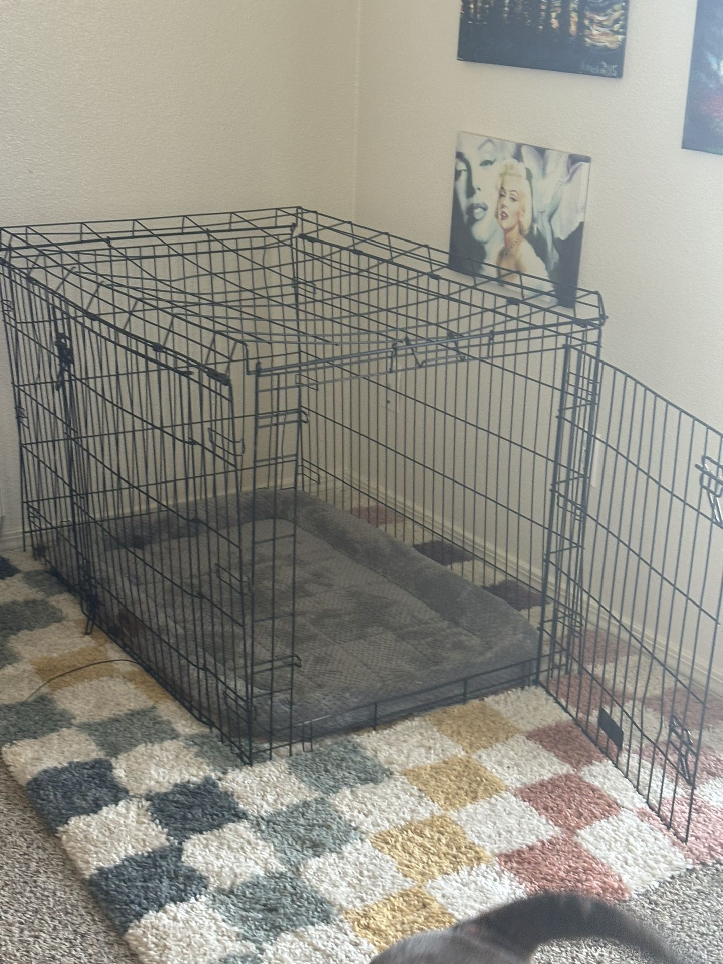 Medium Wire Dog Cage