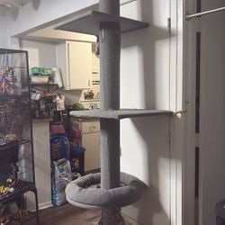 Sell brand new cat post