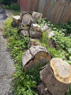 [Free] firewood