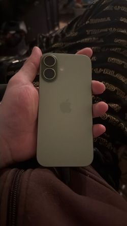 iPhone 17 pro sage green