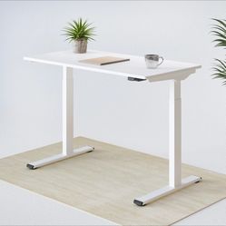 Adjustable Height Electric Standing Desk