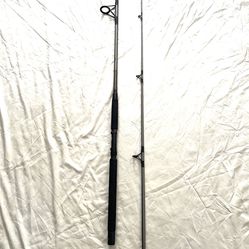 Great Condition Penn Master Spectra Graphite 8ft 2 Piece Light Medium Action Fishing Rod 