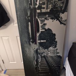 Car Portrait 