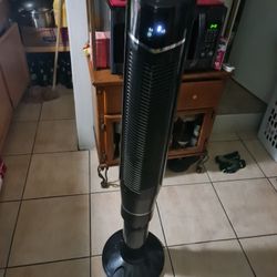Fan