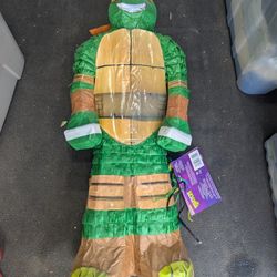 Teenage Mutant Ninja Turtles Pinata25 x 12 in, 1ct