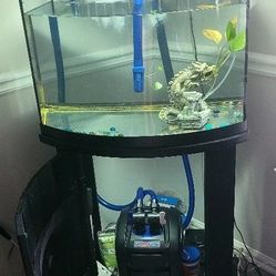 36 Gallons Fish Tank