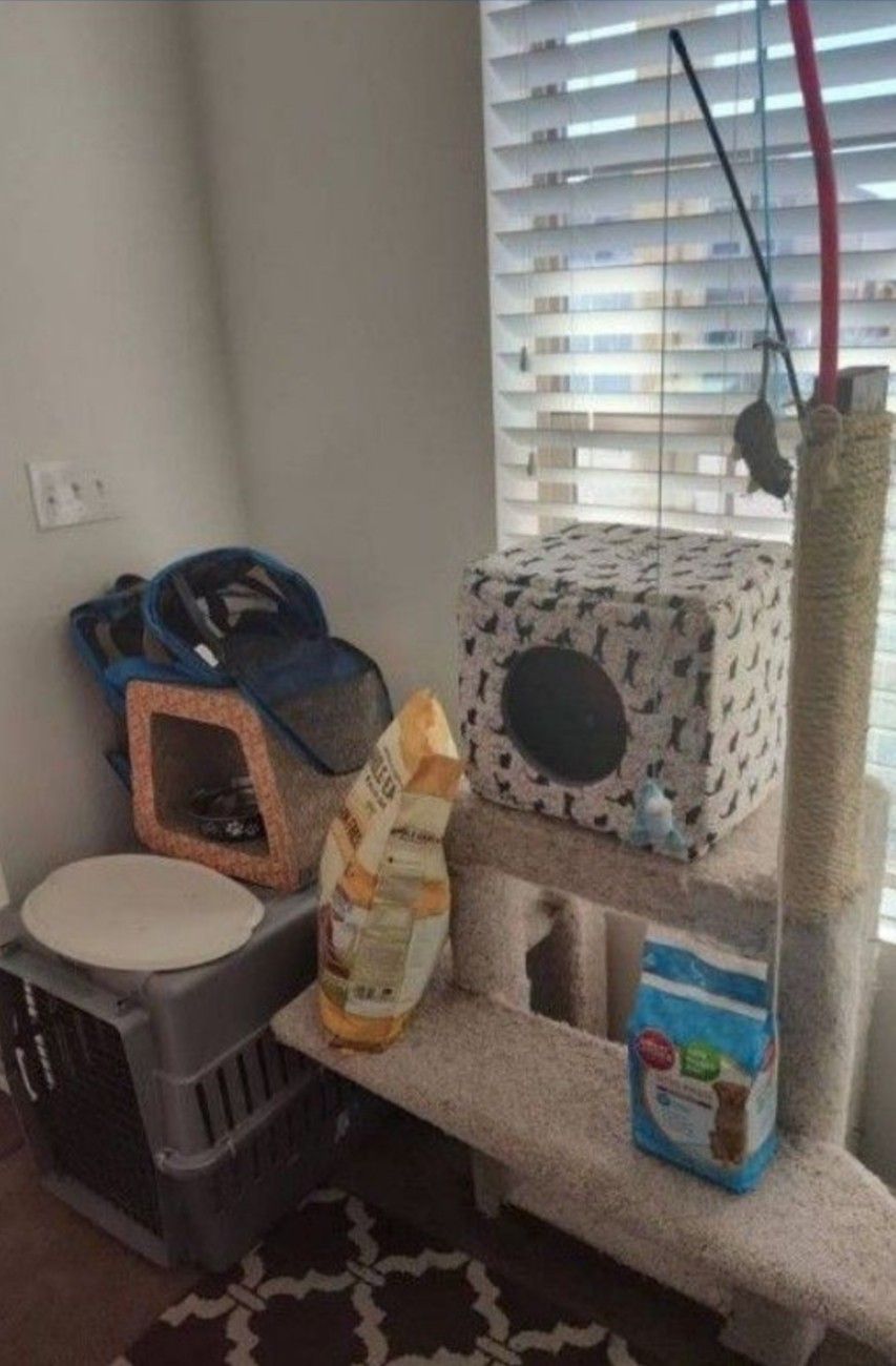 Cat/Dog Items