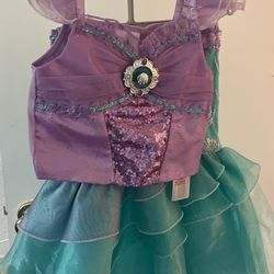 Little Mermaid Costume 