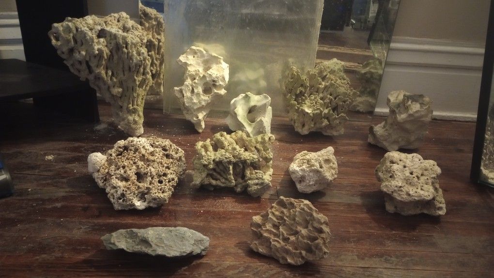 Coral Reef Rocks