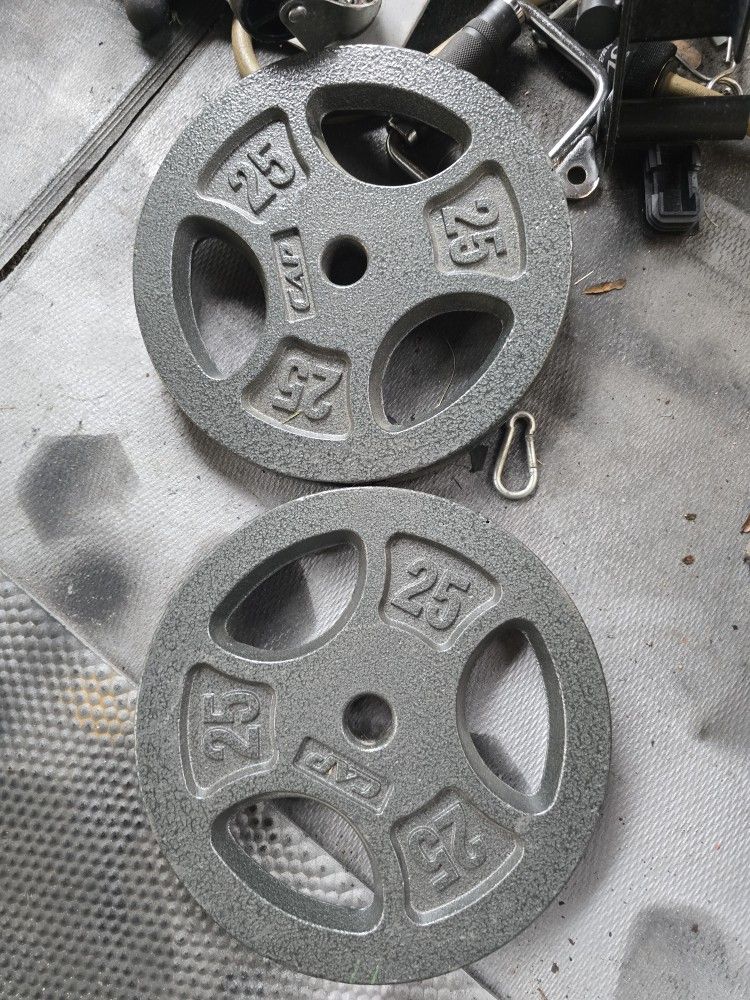 Weight Standard Plates