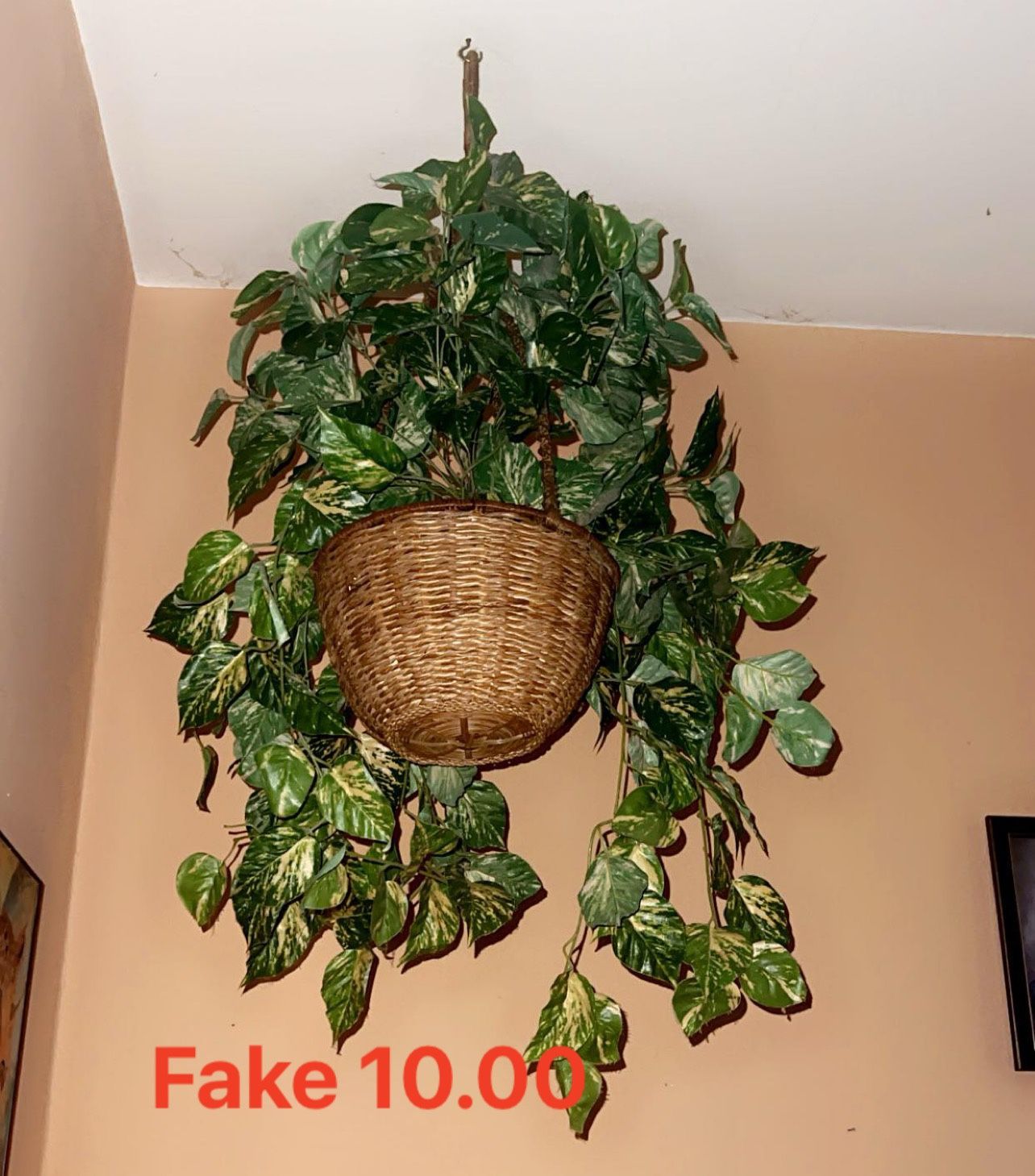 Fake Plant