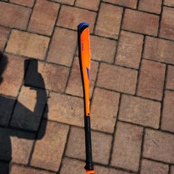 Baseball Bat