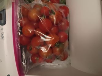 Fresh organic cherry tomatoes