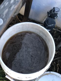 Freshly Brewed Warm Tea, Leachate & Compost