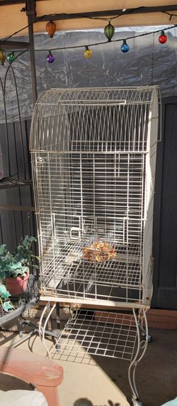 Tall Vintage BirdCage