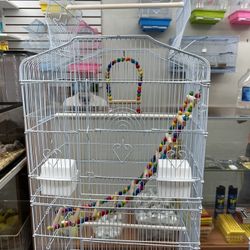 Bird Cages 